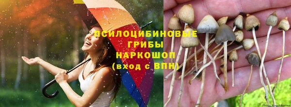 герыч Алексин