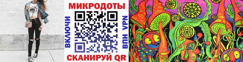 Псилоцибиновые грибы Psilocybe  Каневская 